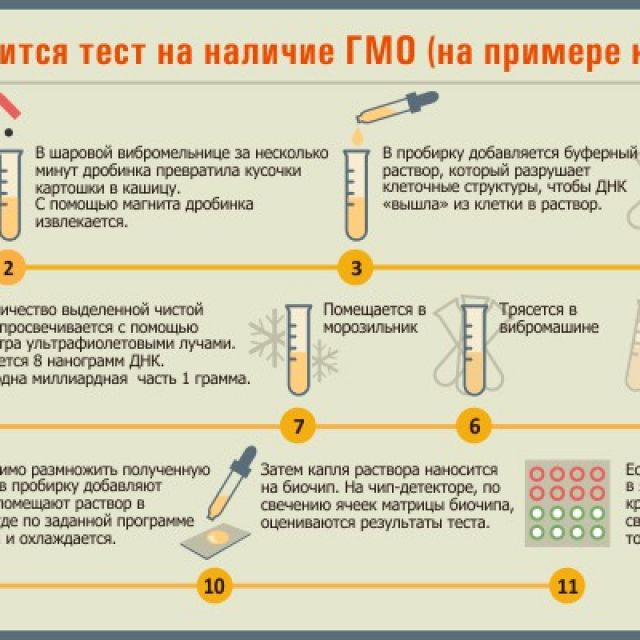 Анализ гмо. Буклет ГМО. Брошюра ГМО. Листовка про ГМО. Буклет ГМО польза или вред.