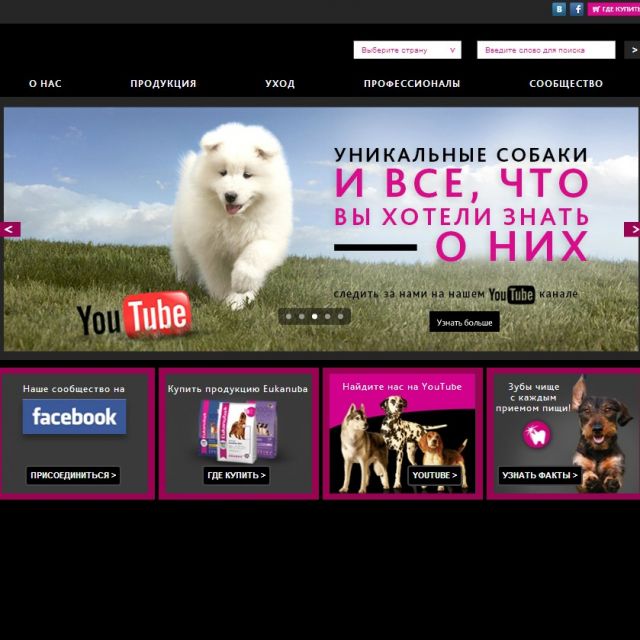    P&G Pet Care  Eukanuba.ru