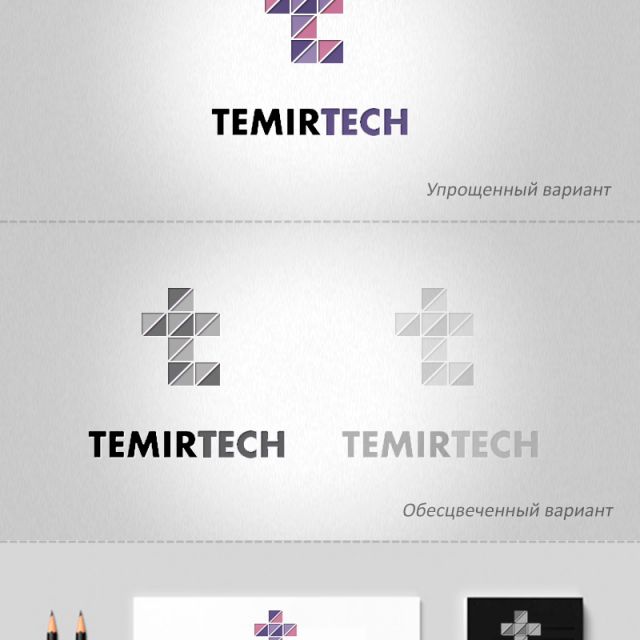   "Temir Tech"