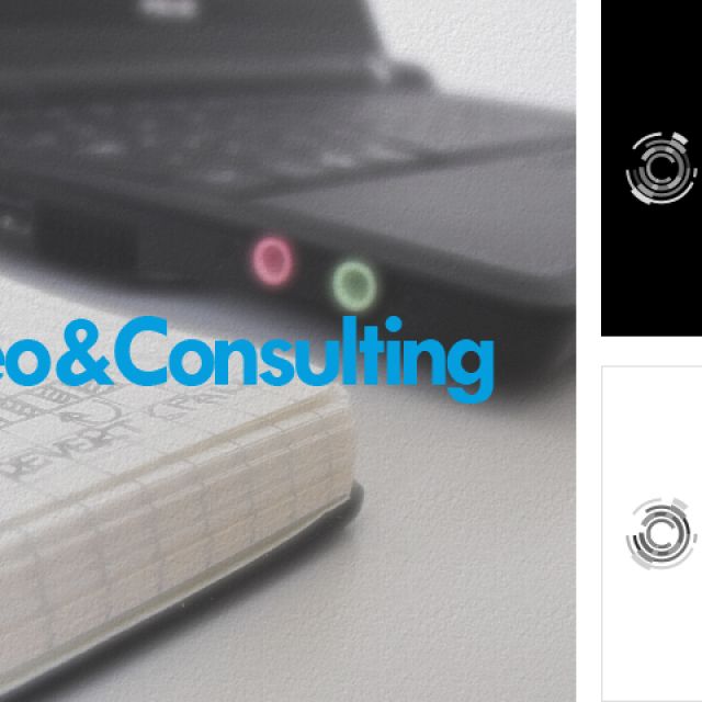    Seo&Consulting