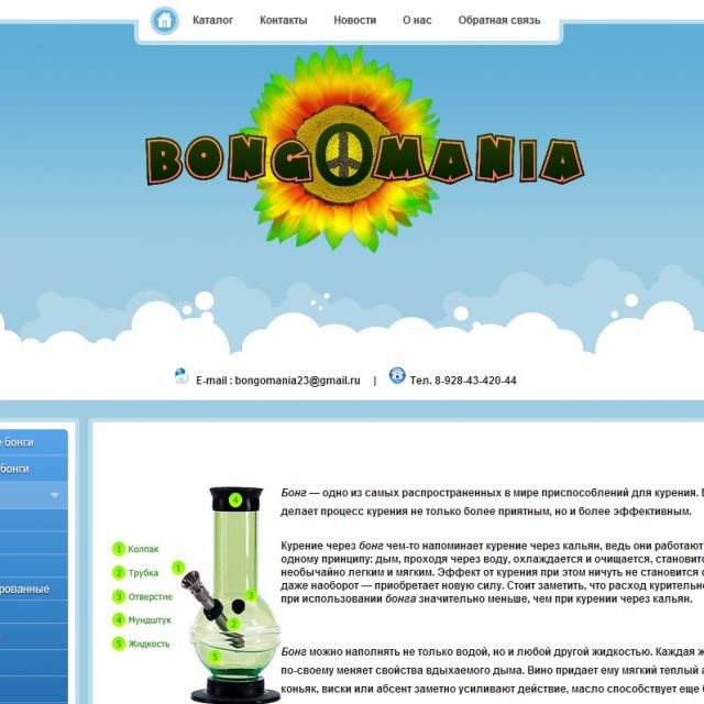 Bongomania.ru