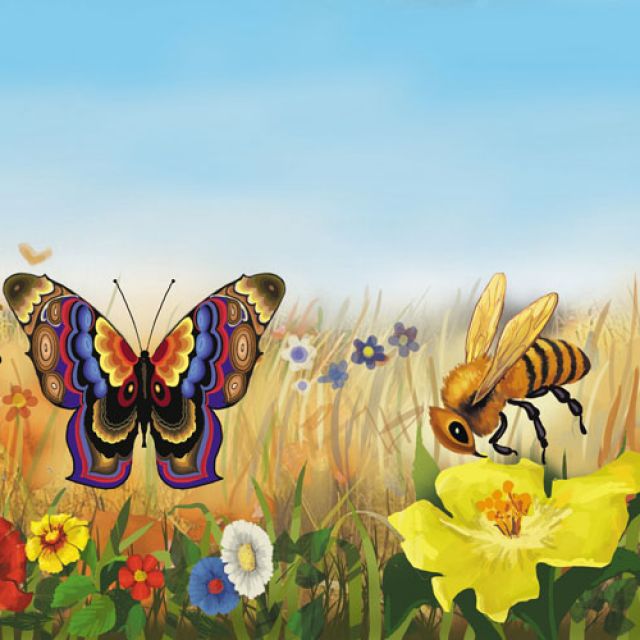 Бабочки на лугу. Бабочки летают над лугом. Луг с насекомыми. Бабочки над цветами.