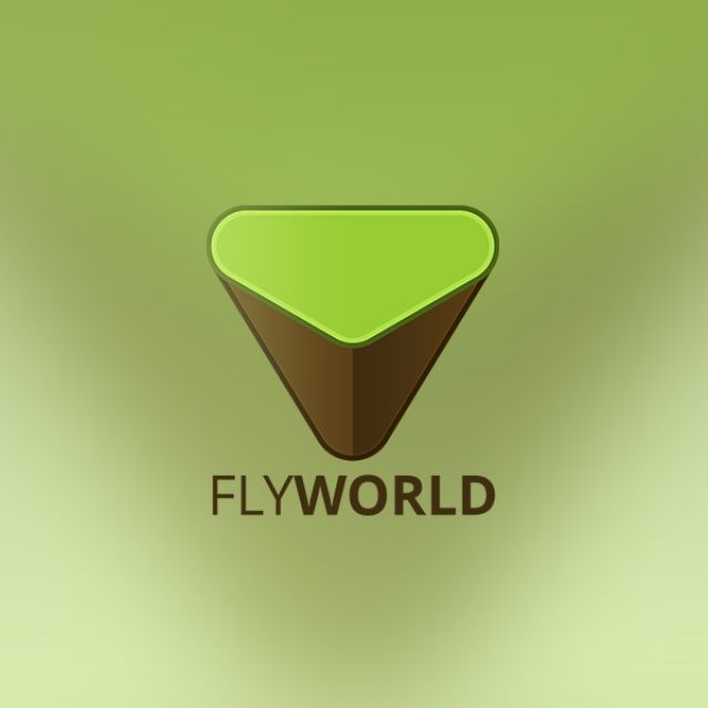  FLYWORLD