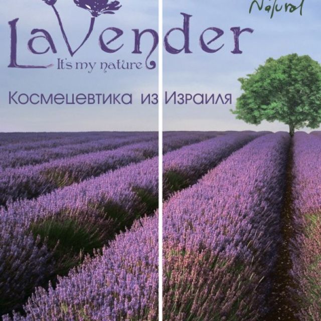    Lavender