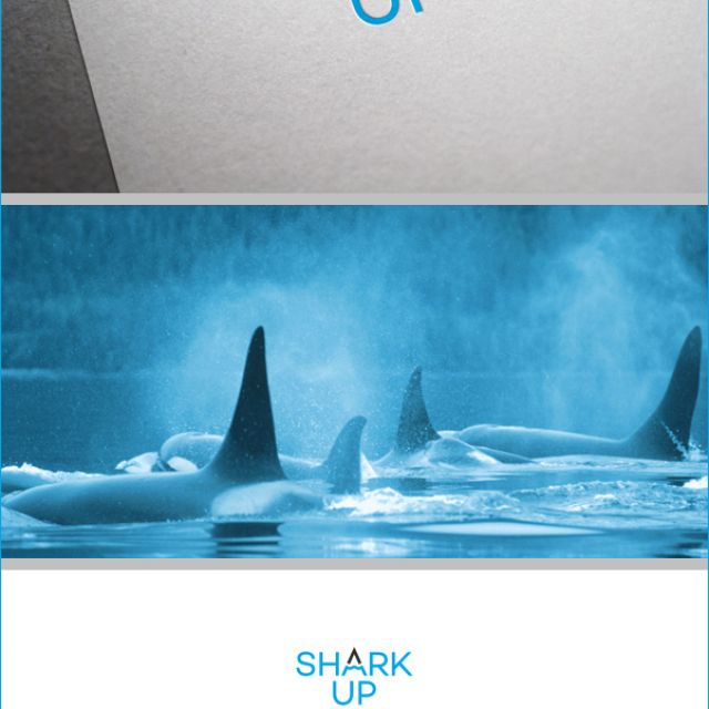 SharkUp