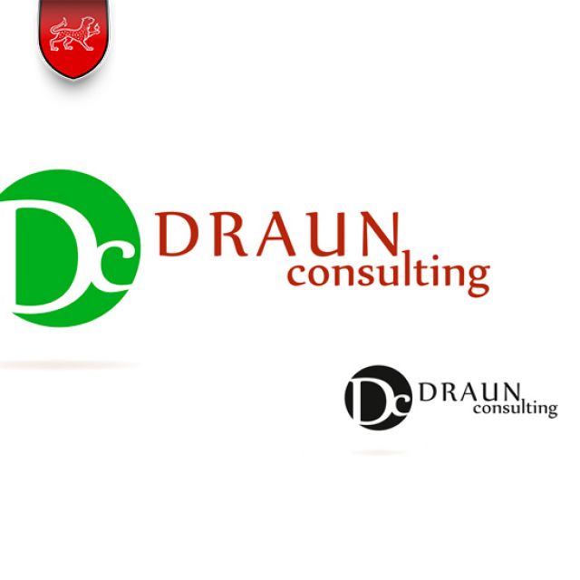  Draun Consulting