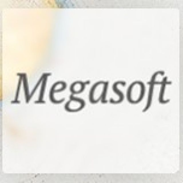     "Megasoft"