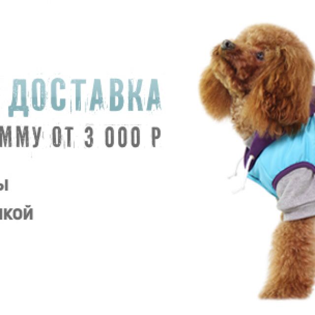     www.doggybandanas.ru