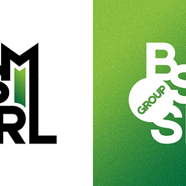 BSM SRL group logo
