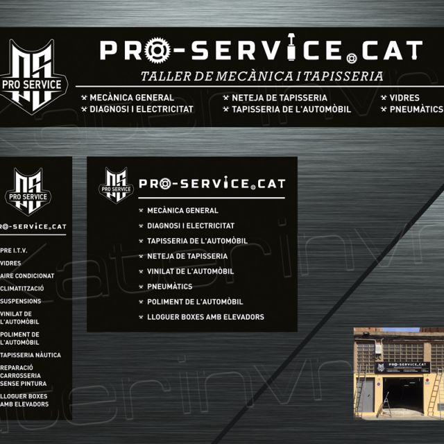  pro-service.cat