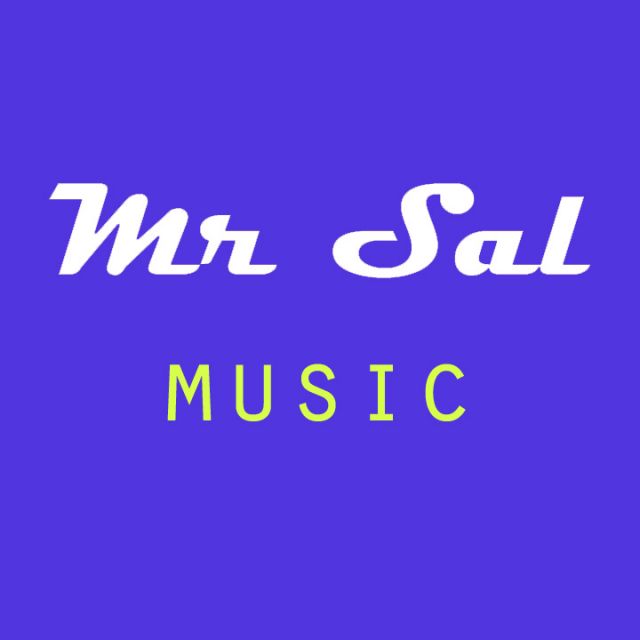 Mr Sal - Hero ()