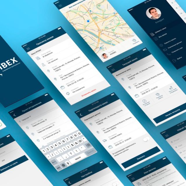 IBEX  iOS App & Icon Design