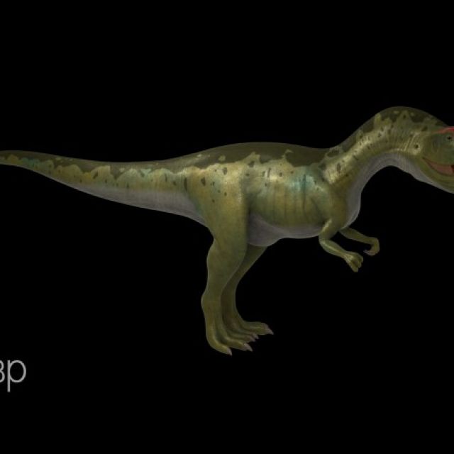   (Allosaurus) 
