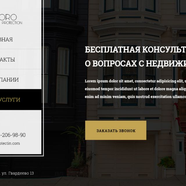 Landing Page  "TEODORO protection"