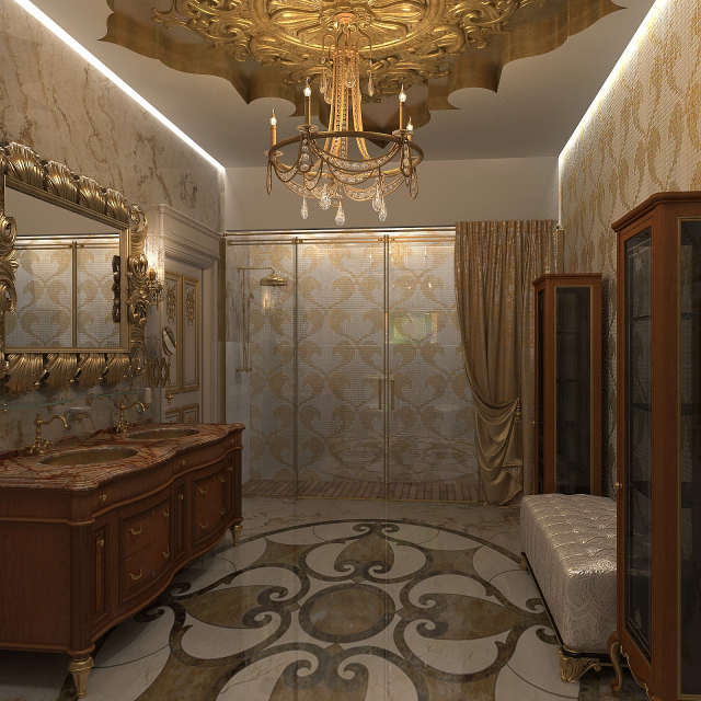 Conception of interiors design for Ambassador