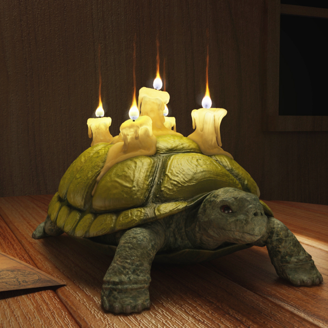 Tortuga candles