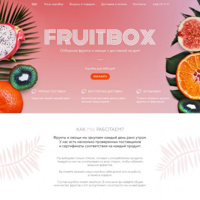  Fruitbox