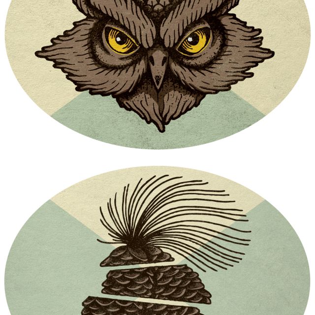owl&bamps