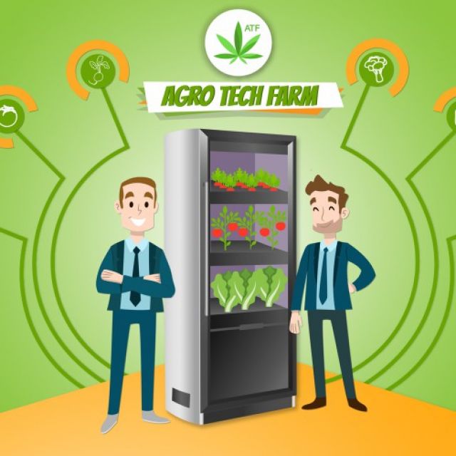AgroTechFarm ICO Offers You A Chance To Enter Legal Cannabis...
