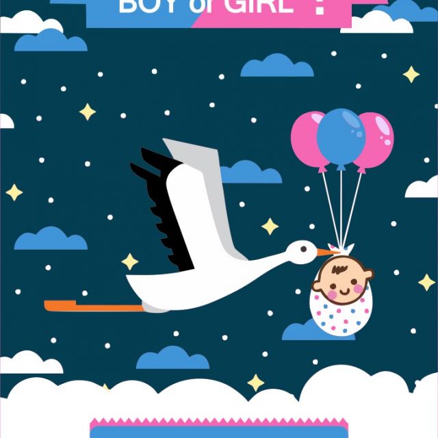 BOY or GIRL