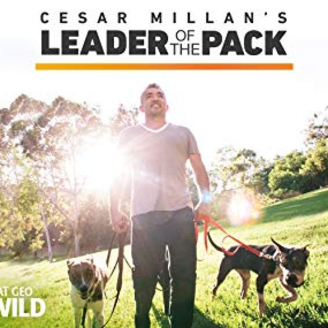 NATIONAL GEOGRAPHIC Cesar Millan's Leader Of The Pack: MilesToGo