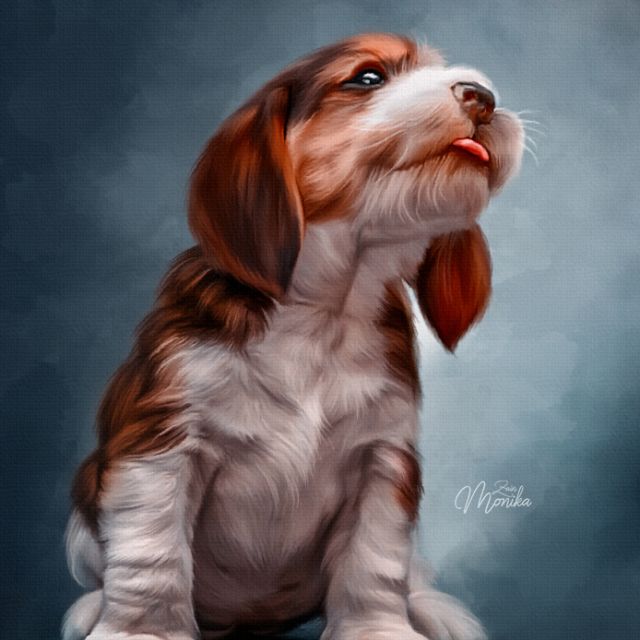 Beagle puppy (Digital Dog)  