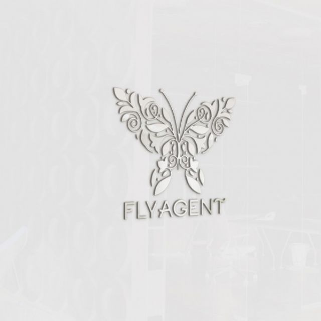    "FlyAgent"