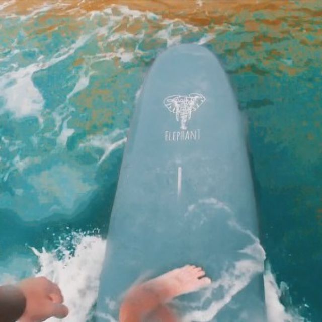 Surfing in Sri-Lanka