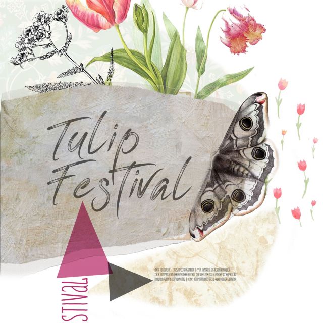 "Tulip Festival"