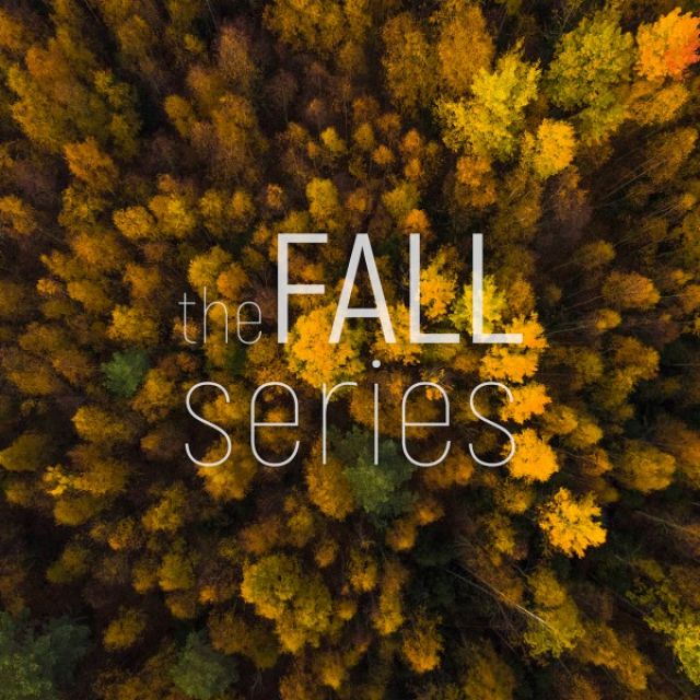 the FALL series