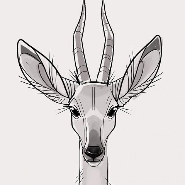 Deer 3