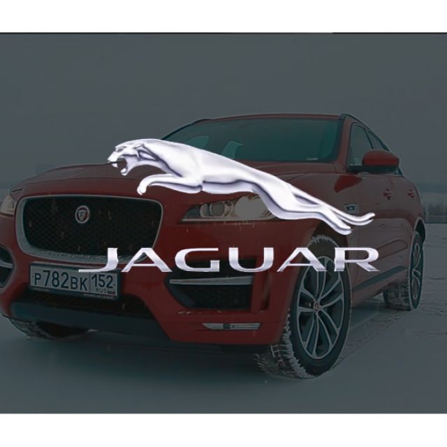      Jaguar
