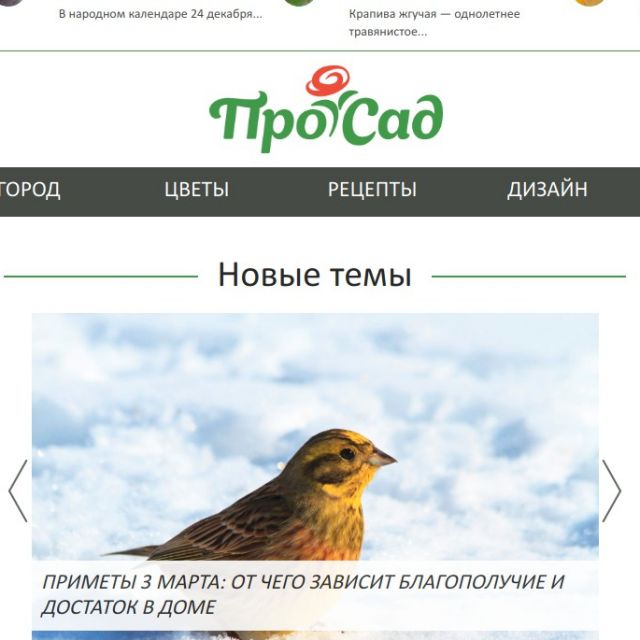 prosad.ru