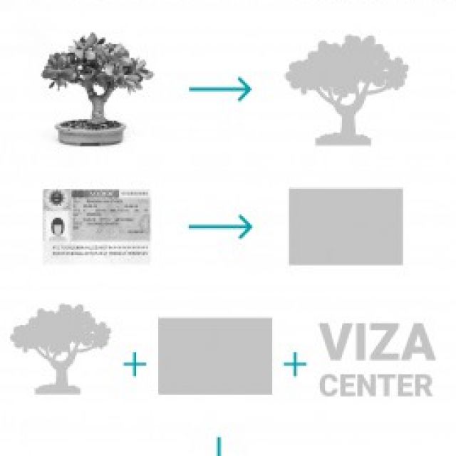Viza center