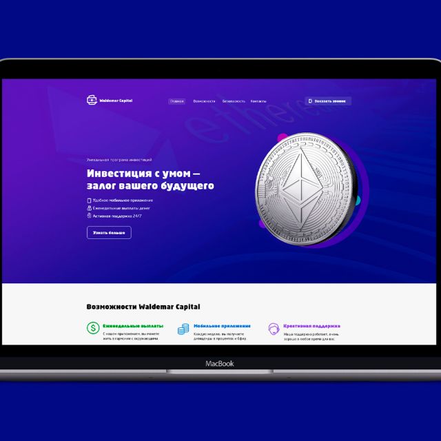 LANDING PAGE  Waldemar Capital 