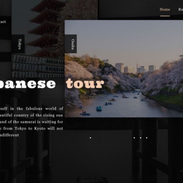 Japanese tour