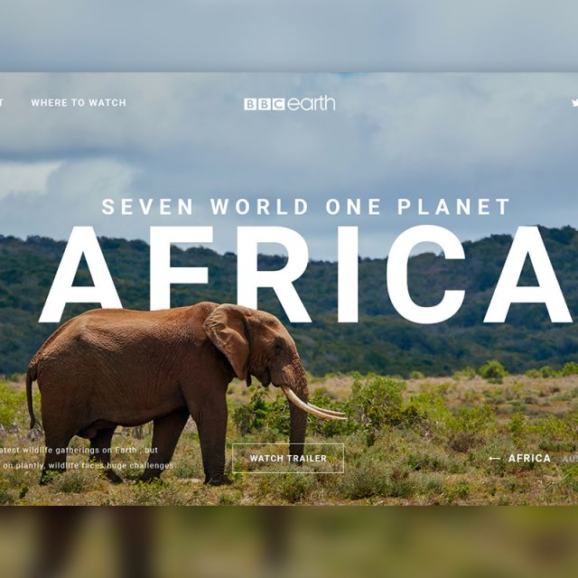 BBC Earth Africa