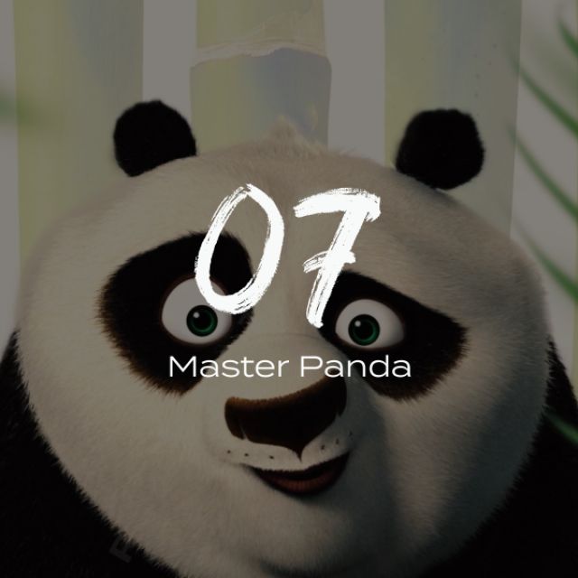 07 -  Master Panda