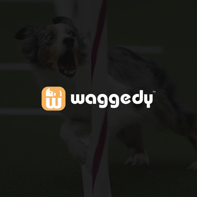  Business | Waggedy