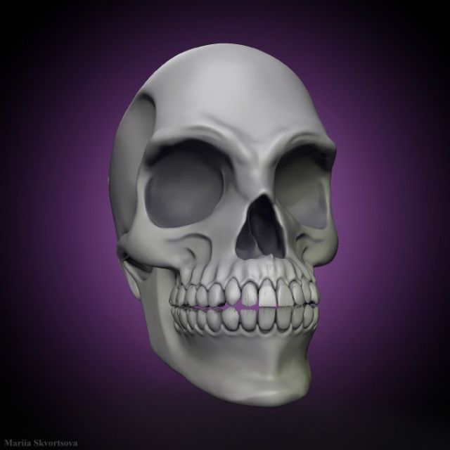 Skull. Compositional render