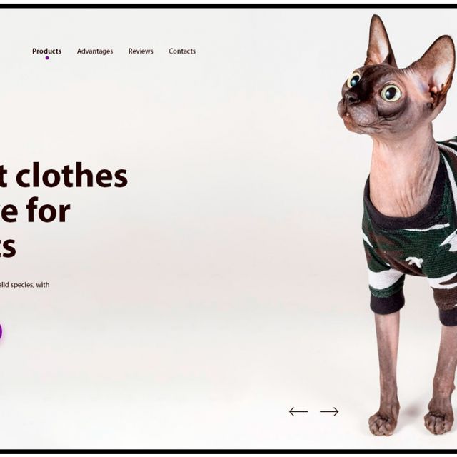 Clothes for cat 