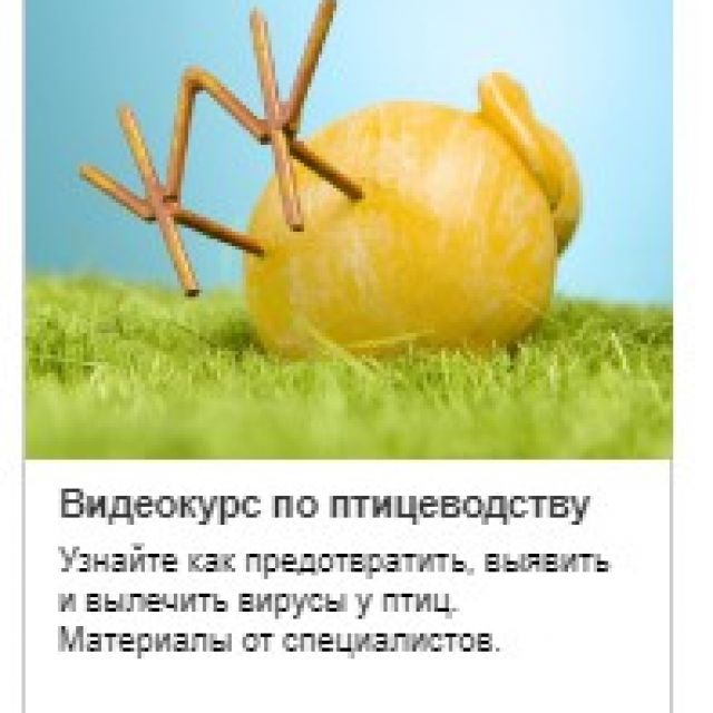  , Mail.ru  .