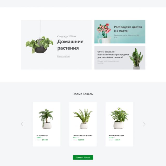 -   - Your Plant