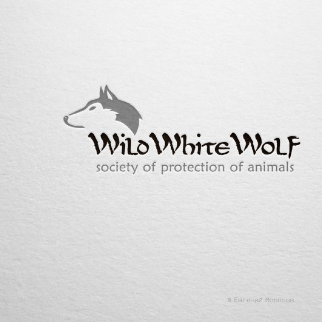   WildWiteWolf.