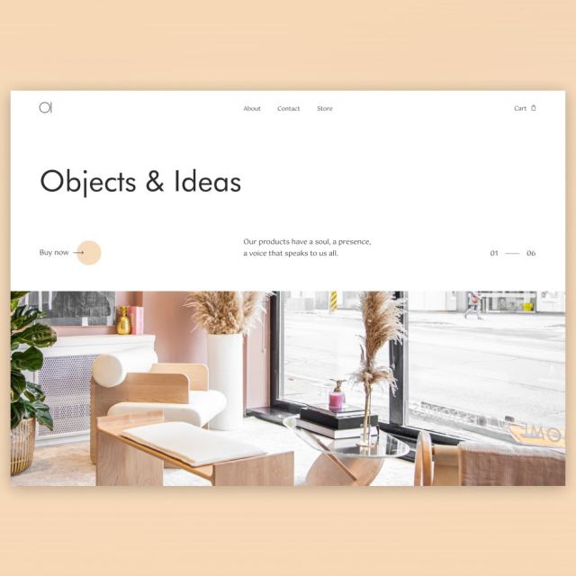 Objects & Ideas