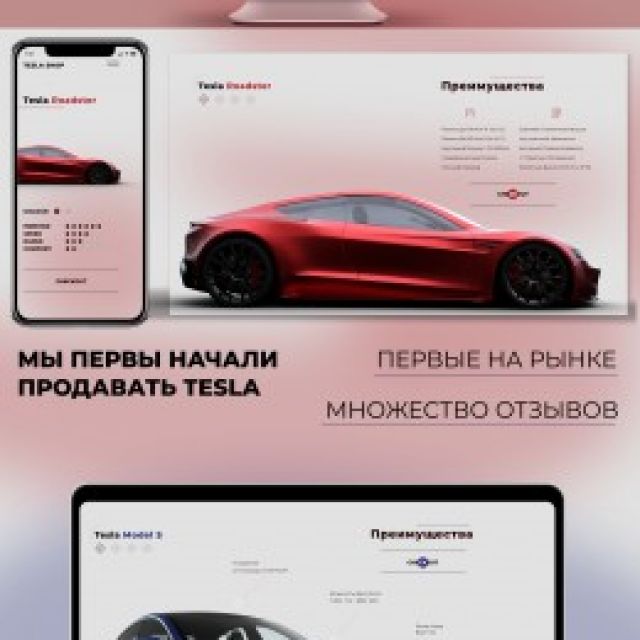 Tesla shop