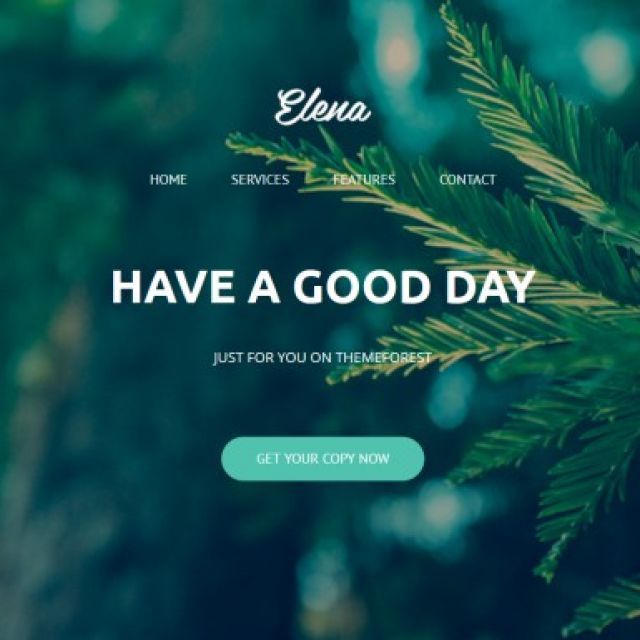 Landing Page Elena