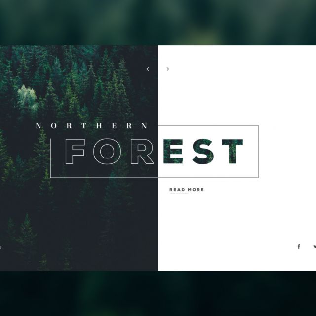   "Forest"