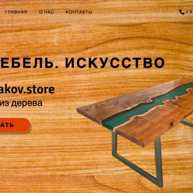 Vishnyakov.store