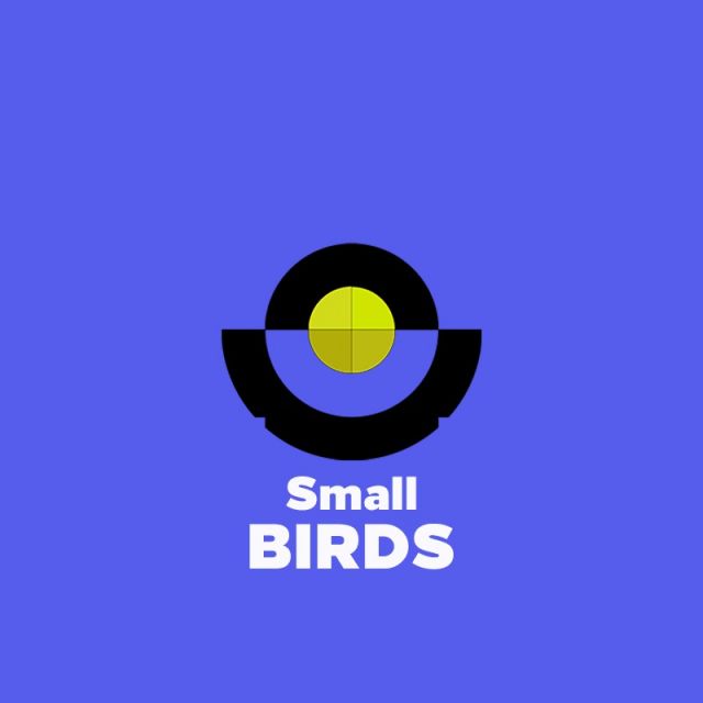  Small BIRDS